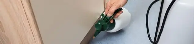 Bed bug exterminator treating baseboards and cracks with targeted spray in Green Bay, WI