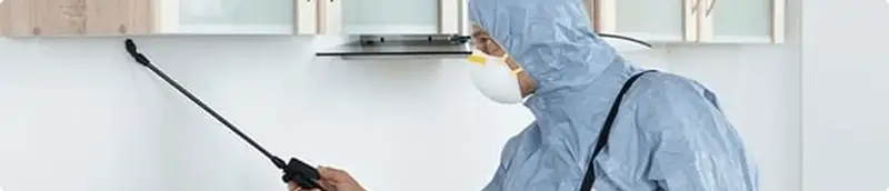 Pest control technician spraying along baseboards for indoor pest treatment in Green Bay, WI