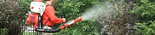 Mosquito control technician fogging shrubs and landscaping for mosquito treatment in Green Bay, WI
