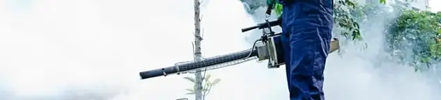 Pest control technician fogging an outdoor area for insect control in Green Bay, WI