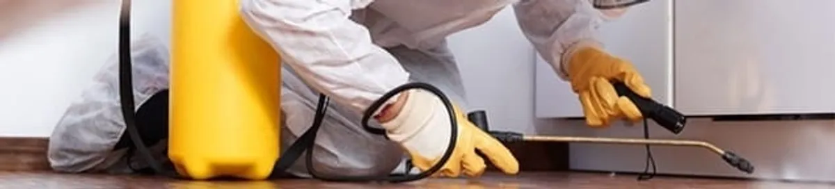 Roach exterminator treating cracks and crevices along kitchen baseboards in Green Bay, WI