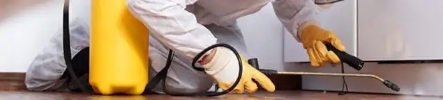Roach exterminator treating cracks and crevices along kitchen baseboards in Green Bay, WI