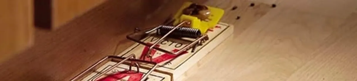 Rodent trap set indoors for rodent control and prevention in Green Bay, WI